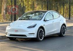 تسلا موديل Y